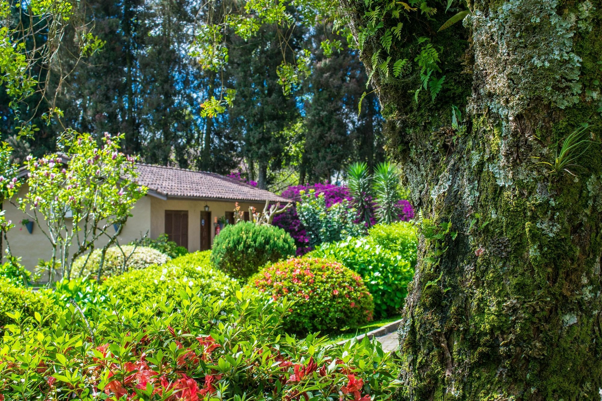 Hotel Fioreze Quero Quero Gramado Ngoại thất bức ảnh